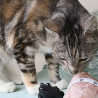 Witch's Wardrobe - R. Henderson - Book