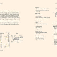Stitch It, Don't Ditch It - M. Morton - Book