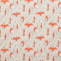 AGF - Cotton - Tomales Bay - Bird Watching - Lively