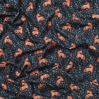 Dear Stella - Cotton - Full Moon - Filly - Multi