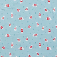 Riley Blake - Flannel - Northern Lights - Sky