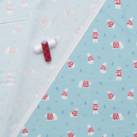 Riley Blake - Flannel - Northern Lights - Sky