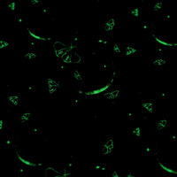 Episodic Drawings - Cotton - Jardin De Lune - Glow - Crescent Moons