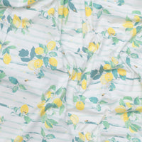 AGF - Cotton - Knit - Capri - Limoni Righe