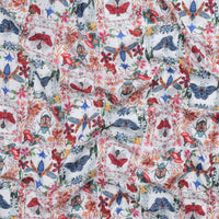 Maria Matos - Cotton - Nocturnal Creatures - Moths & Beetles - White