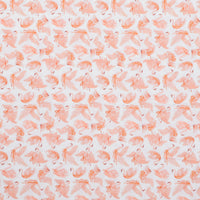 Dear Stella - Cotton - Swan Song - Cygnets - White
