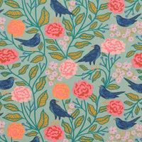 AGF - Cotton - Starling - Blackbird Aviary