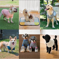 Well-Dressed Dog - T. Kaneko -Pattern Book