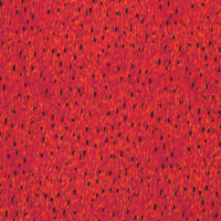 Cotton Silk - Print - Magenta