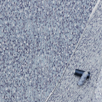 Cotton Silk - Print - Denim