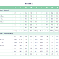 Ahead of the Curve - J. Rushmore - Book