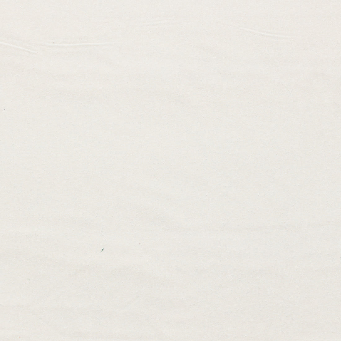 Silk Noil - Unbrushed - Assorted