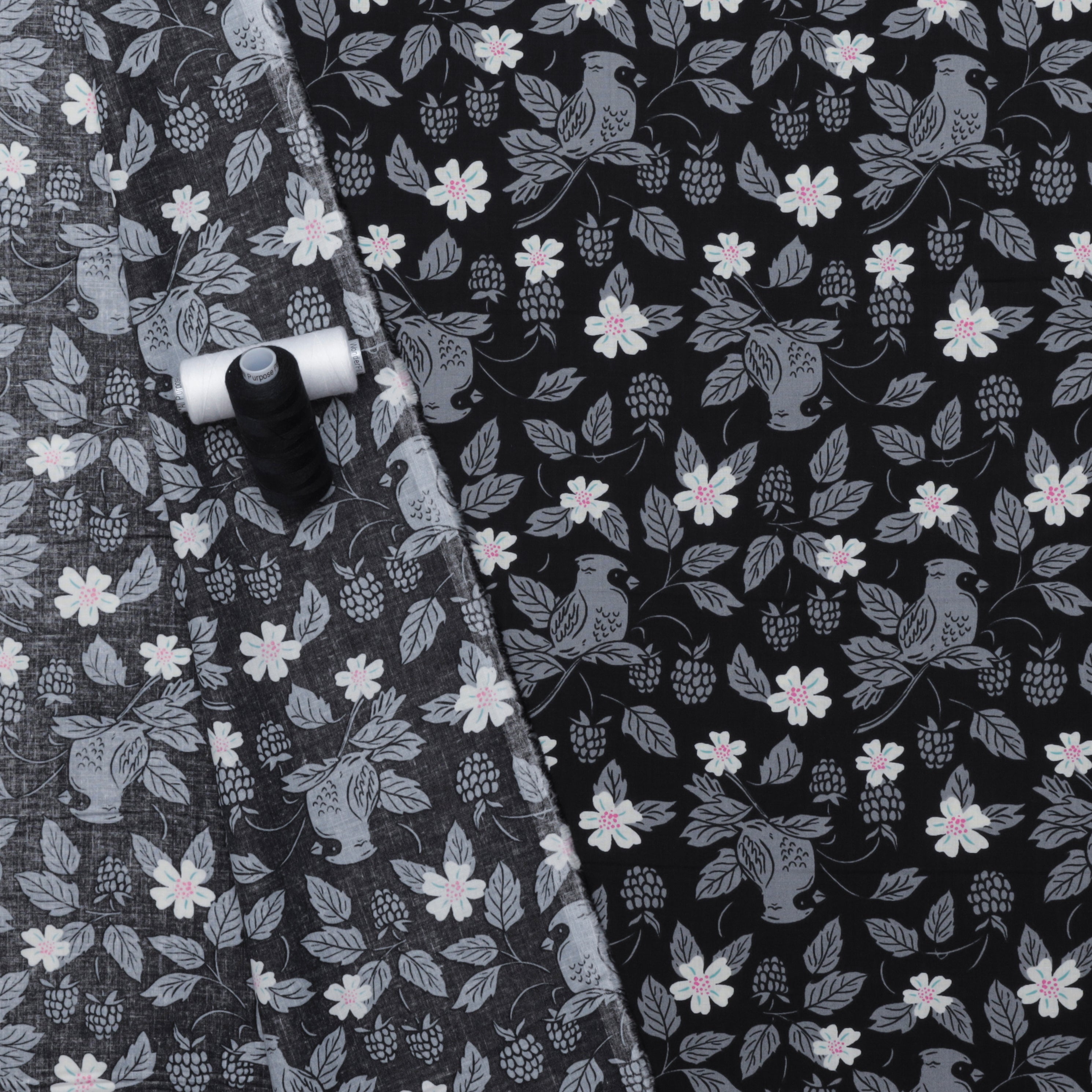 Ruby Star - Cotton - Backyard - Birds - Black Suede – RICK RACK Textiles