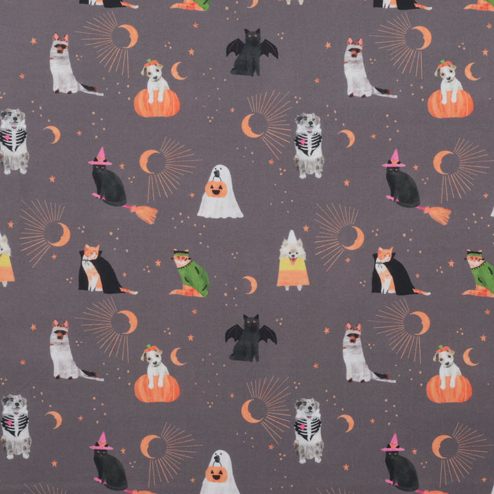 Dear Stella - Cotton - Costume Party - Sweetstumes - Slate