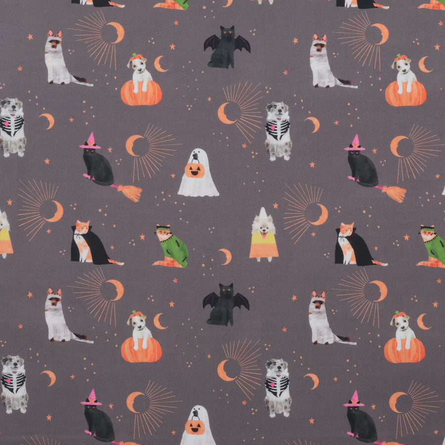 Dear Stella - Cotton - Costume Party - Sweetstumes - Slate