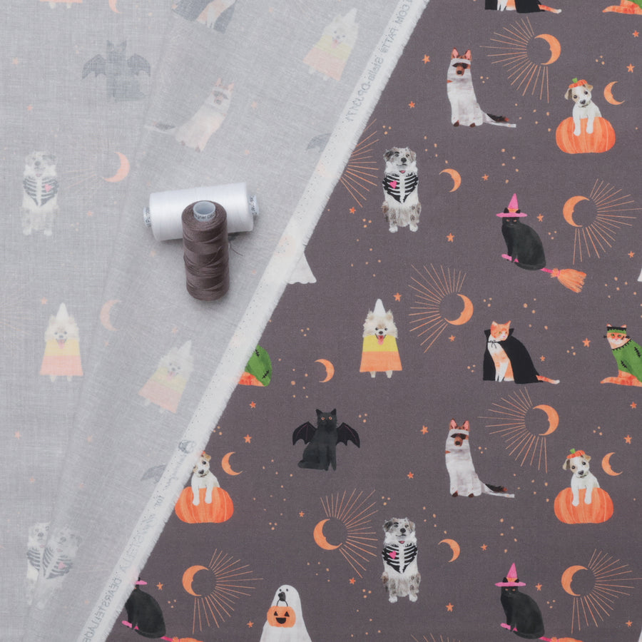 Dear Stella - Cotton - Costume Party - Sweetstumes - Slate