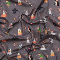 Dear Stella - Cotton - Costume Party - Sweetstumes - Slate