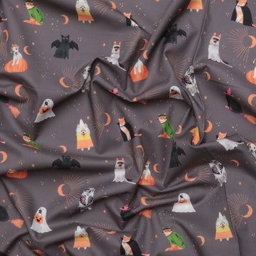 Dear Stella - Cotton - Costume Party - Sweetstumes - Slate