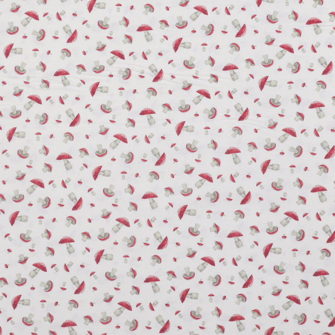 Dear Stella - Cotton - Be Your Best Elf - Shitake Happens - Bone