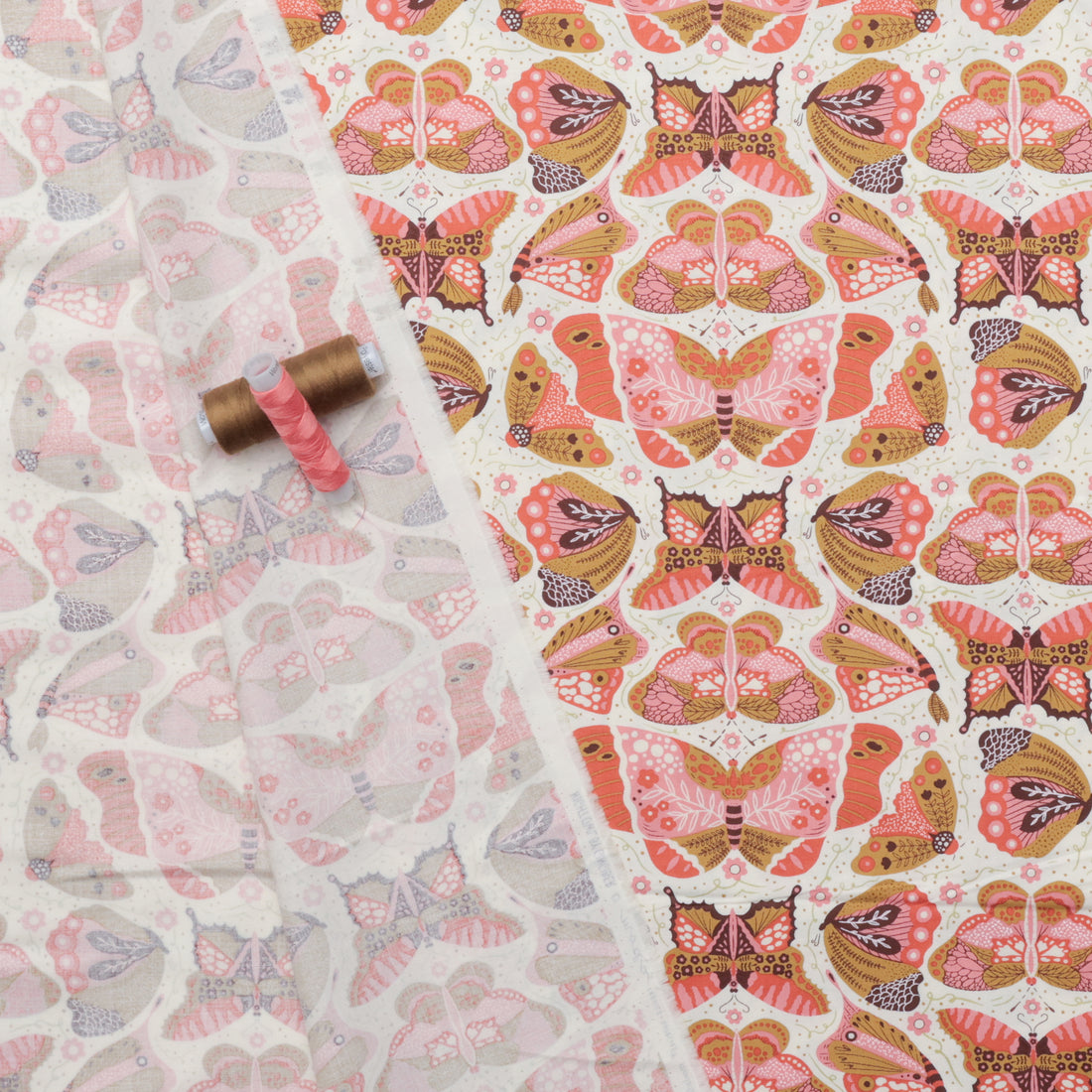 Gingiber - Cotton - Night Owl - Butterfly - Cloud