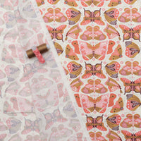 Gingiber - Cotton - Night Owl - Butterfly - Cloud