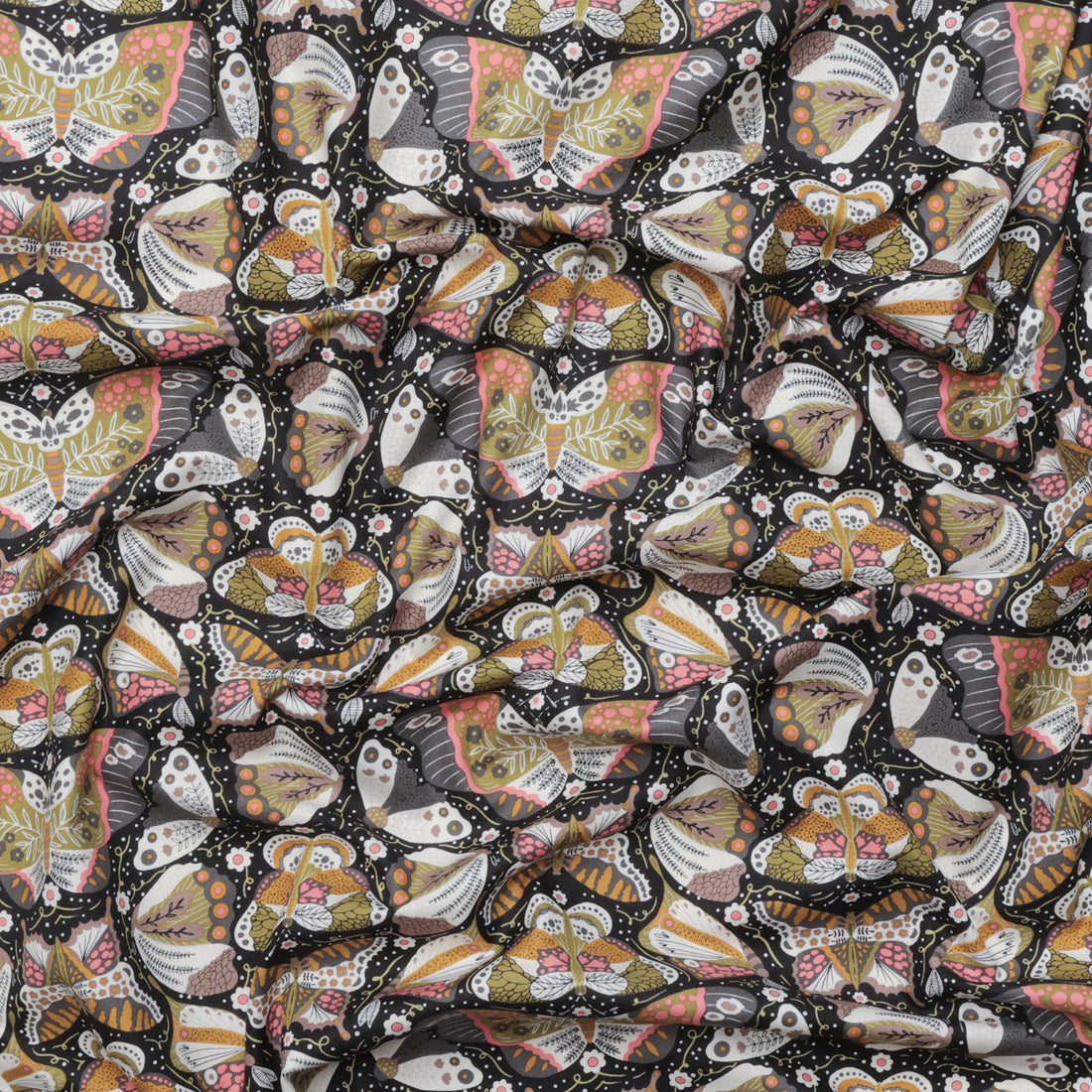 Gingiber - Cotton - Night Owl - Butterfly - Midnight