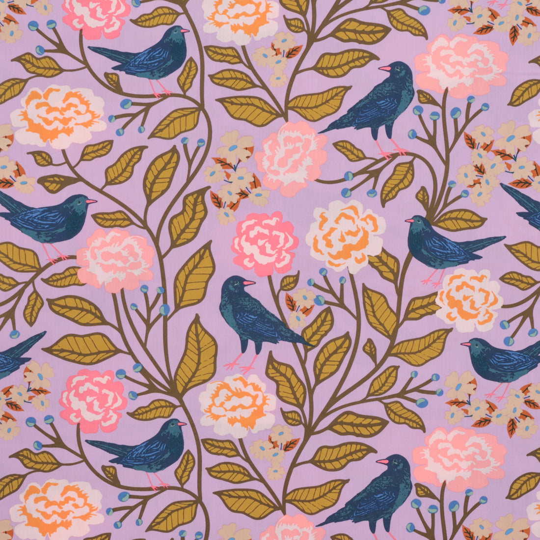 AGF - Cotton - Starling - Blackbird Canopy