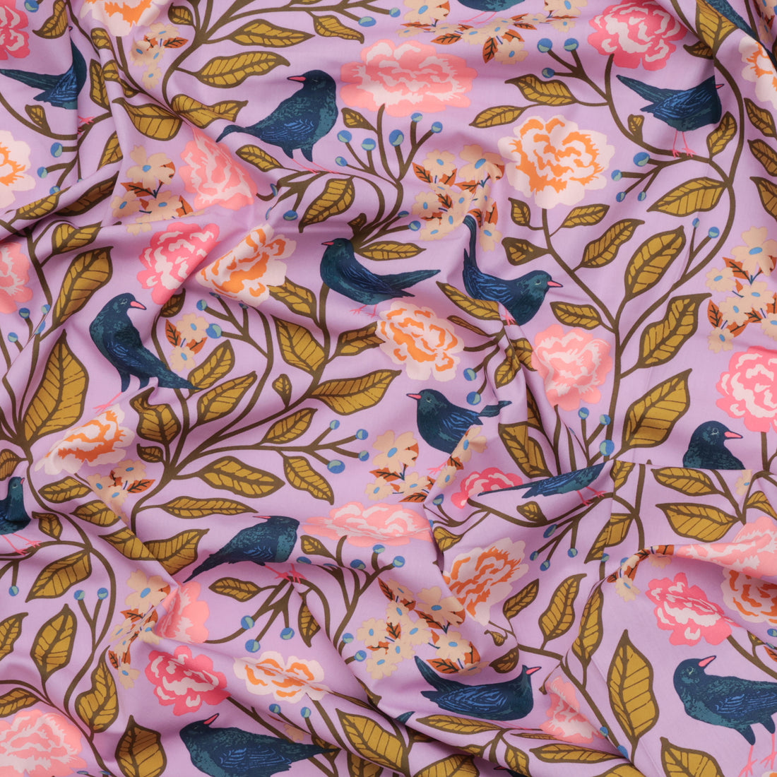 AGF - Cotton - Starling - Blackbird Canopy