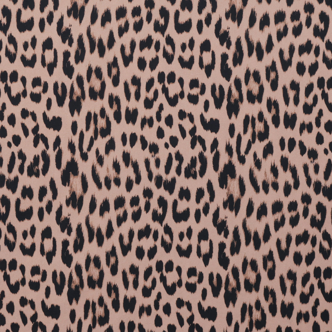 Organic Cotton - Charlie Print - Natural