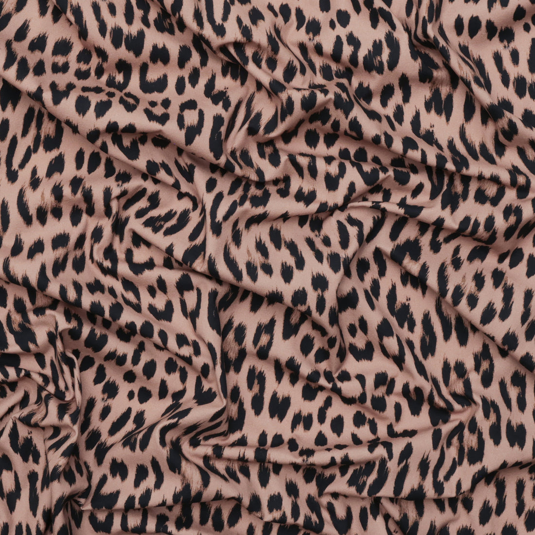 Organic Cotton - Charlie Print - Natural