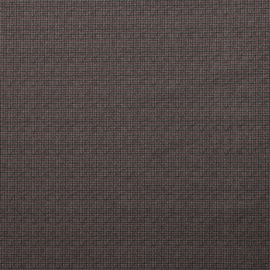 Poly Blend - Preston - Ponte Print - Latte