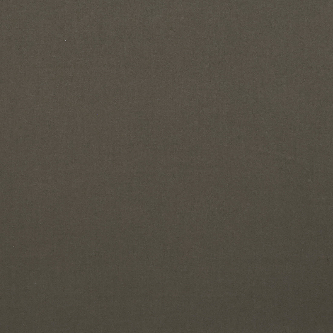 Poly Blend - Icon - Stretch Crepe - Assorted