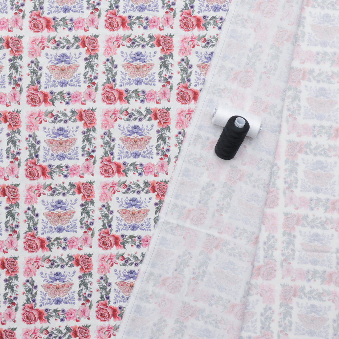 Maria Matos - Cotton - Nocturnal Creatures - Silk Moth - White