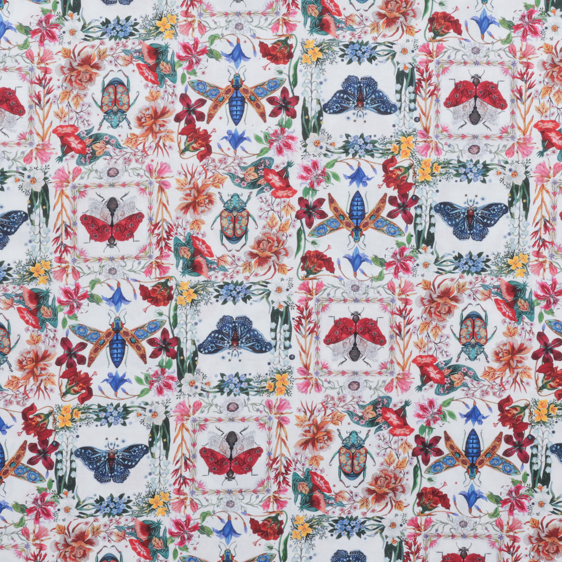 Maria Matos - Cotton - Nocturnal Creatures - Moths & Beetles - White