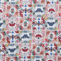 Maria Matos - Cotton - Nocturnal Creatures - Moths & Beetles - White
