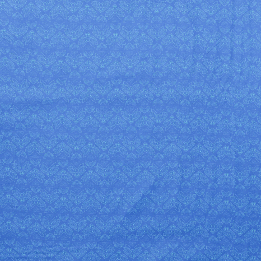 Maria Matos - Cotton - Nocturnal Creatures - Moths - Blue