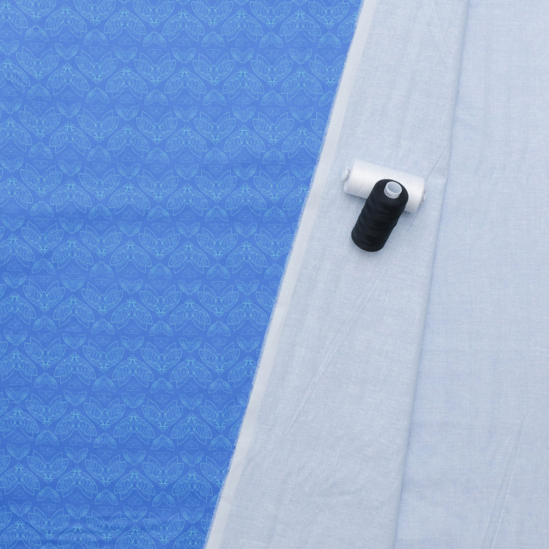 Maria Matos - Cotton - Nocturnal Creatures - Moths - Blue