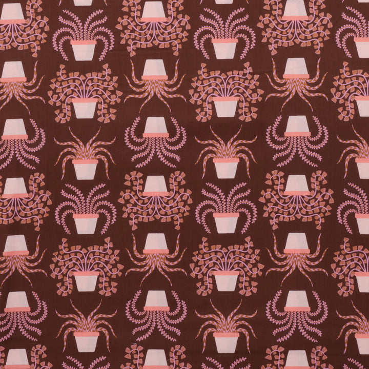 Ruby Star - Cotton - Calathea - Houseplant - Cocoa