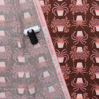 Ruby Star - Cotton - Calathea - Houseplant - Cocoa