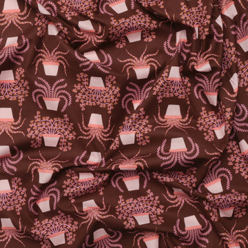 Ruby Star - Cotton - Calathea - Houseplant - Cocoa