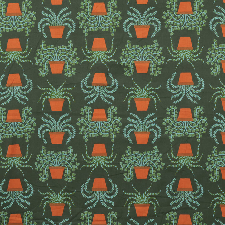 Ruby Star - Cotton - Calathea - Houseplant - Seaweed