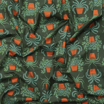 Ruby Star - Cotton - Calathea - Houseplant - Seaweed