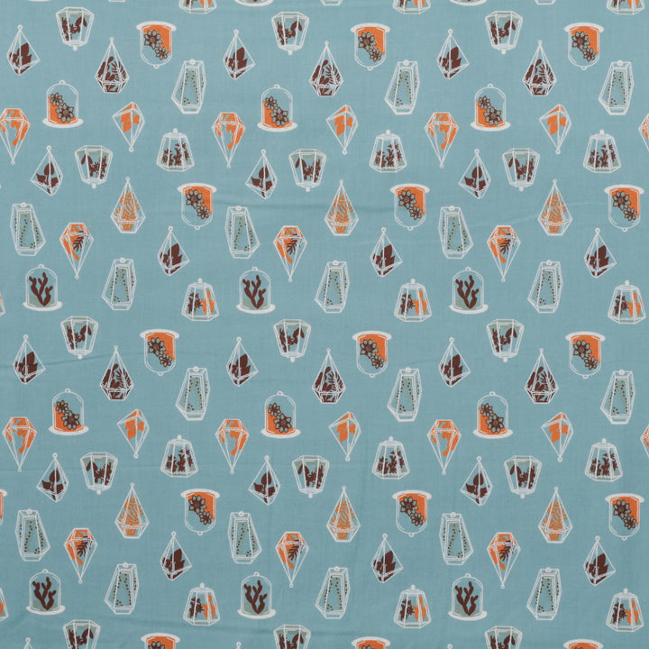 Ruby Star - Cotton - Calathea - Terrarium  - Soft Blue