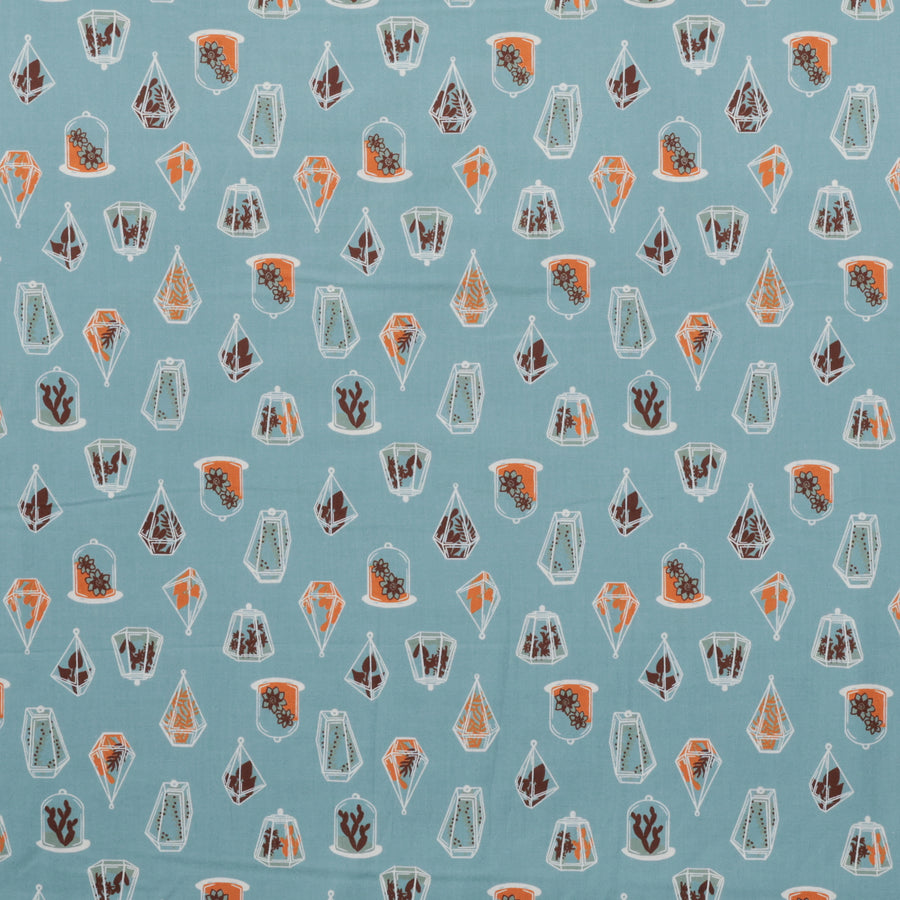 Ruby Star - Cotton - Calathea - Terrarium  - Soft Blue