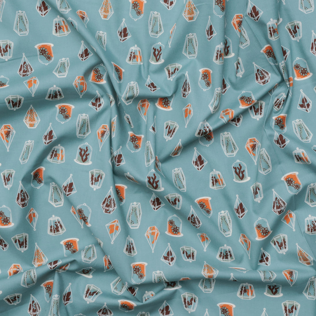 Ruby Star - Cotton - Calathea - Terrarium  - Soft Blue