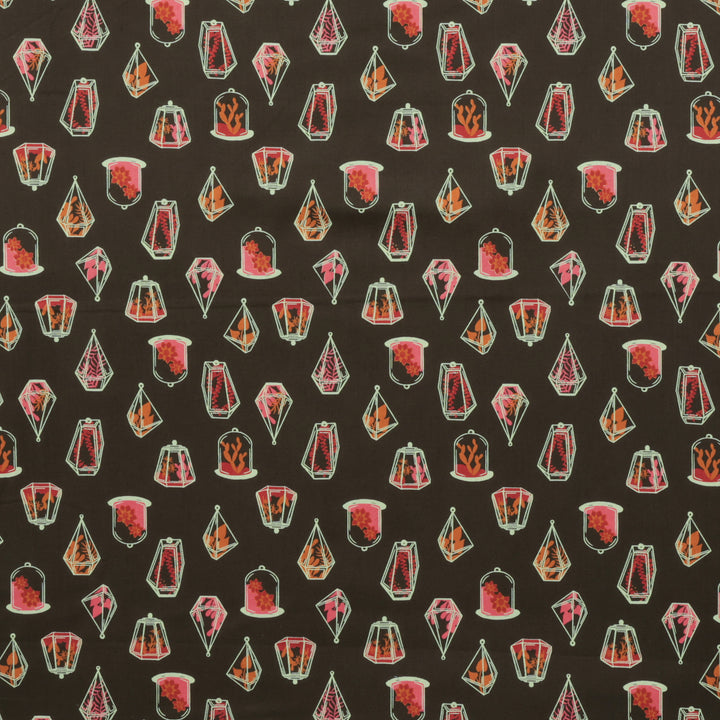 Ruby Star - Cotton - Calathea - Terrarium - Mossy