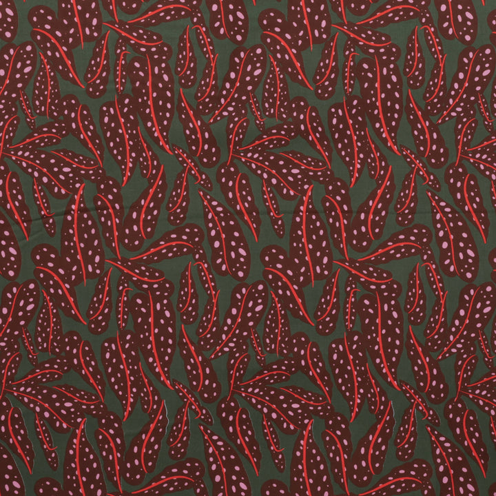 Ruby Star - Cotton - Calathea - Leaves - Cocoa