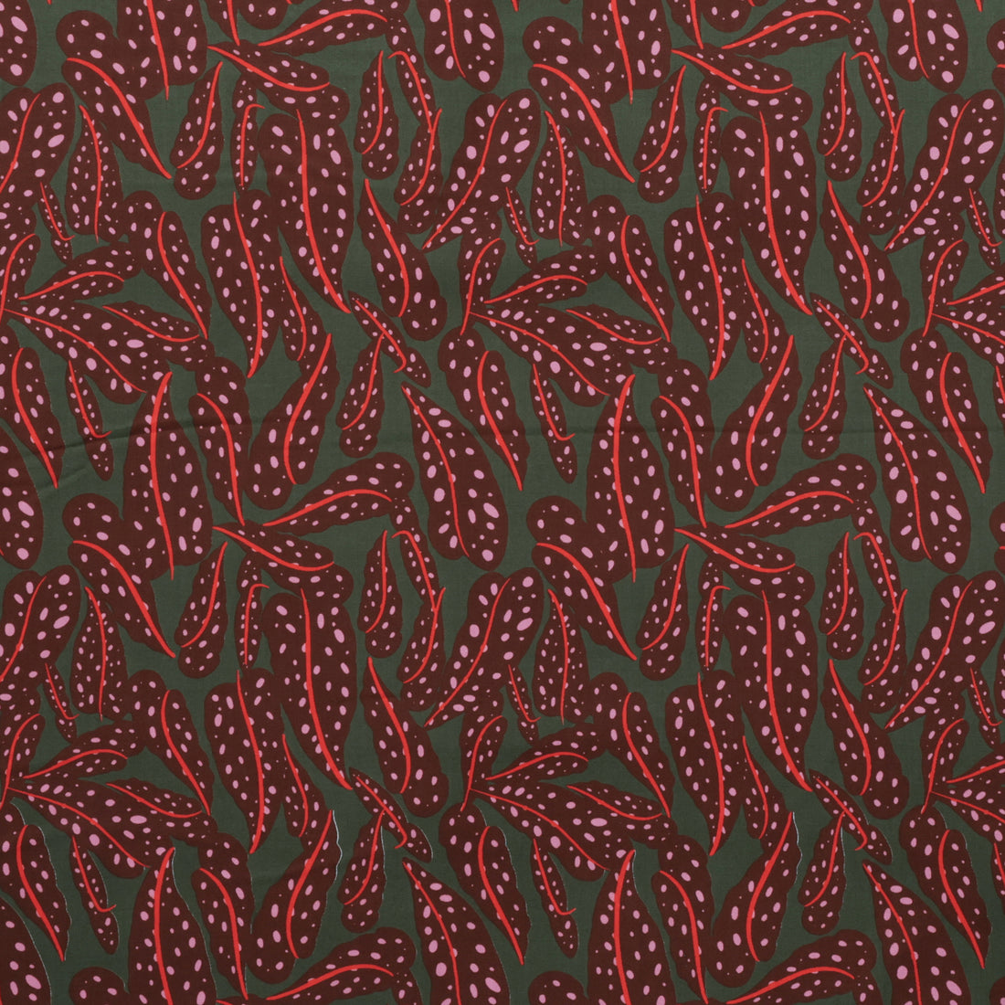 Ruby Star - Cotton - Calathea - Leaves - Cocoa