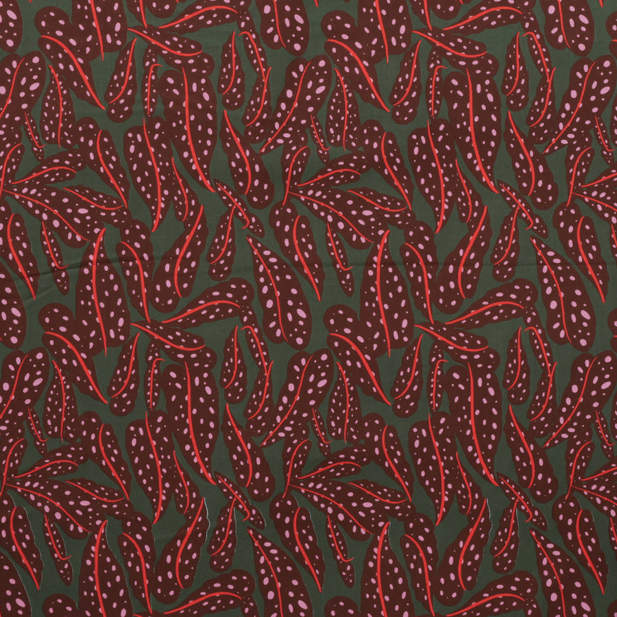 Ruby Star - Cotton - Calathea - Leaves - Cocoa