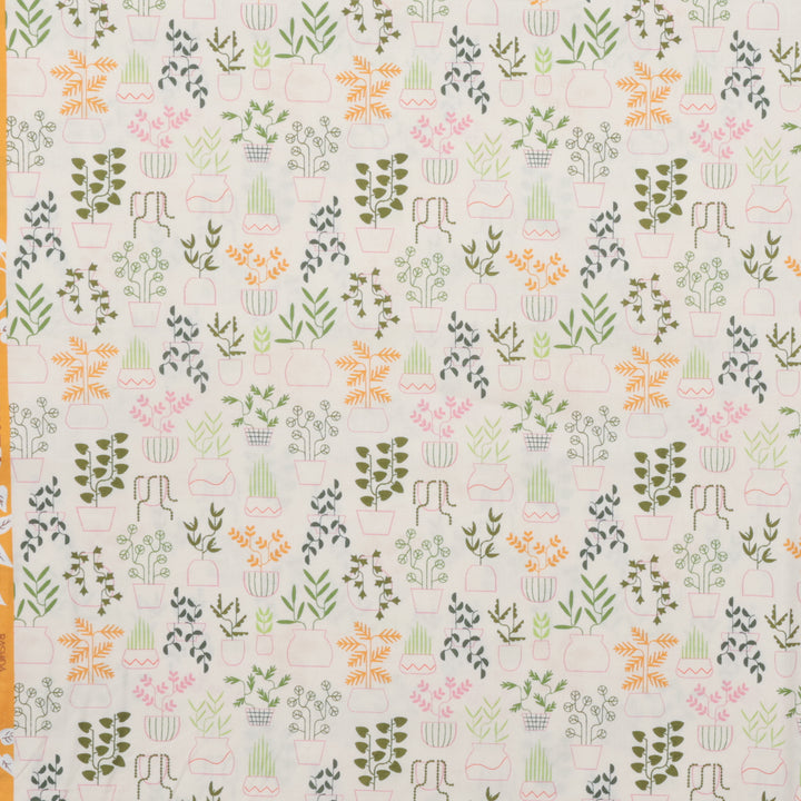 Ruby Star - Cotton - Calathea - Plant Life - Natural